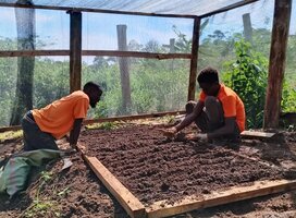 2 staff members planting seedlings in a plant nursery